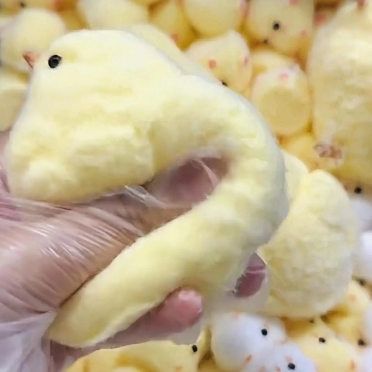 Handmade Chick Squishy Toys Ultra Soft Squishy Fidget Toys Silicone Pinch Entertainment Games for Children Christmas Gifts